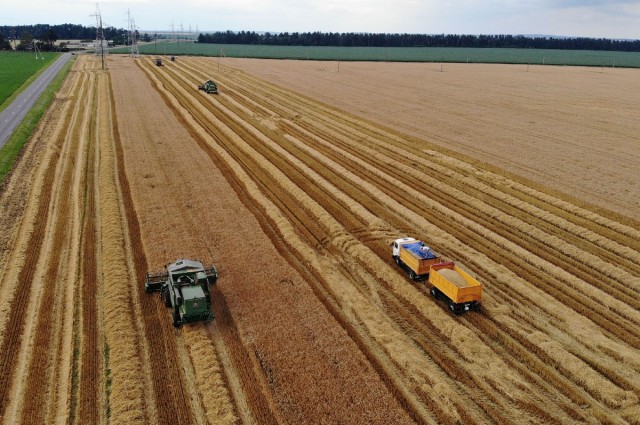 Уборочная страда-2020 набирает свои обороты