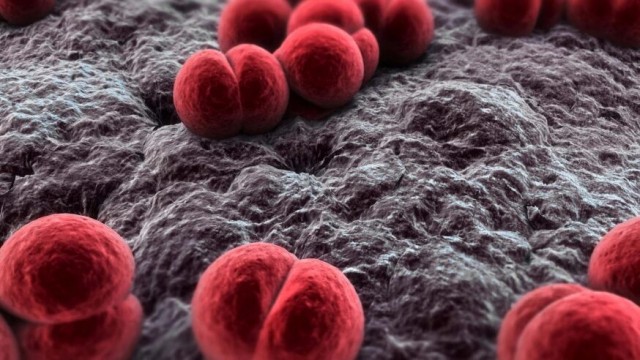 Болезнь надо знать в «лицо». Важно помнить про менингококковую инфекцию!